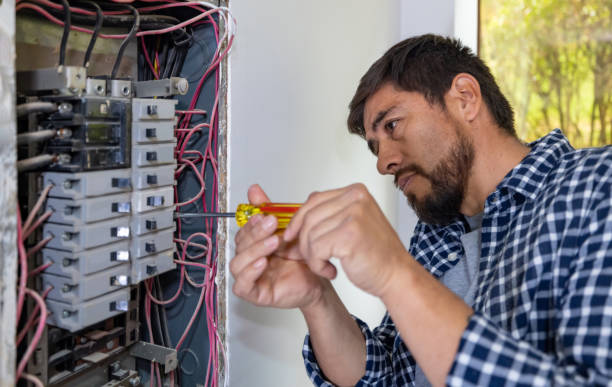 Best Electric Panel Repair  in Bement, IL